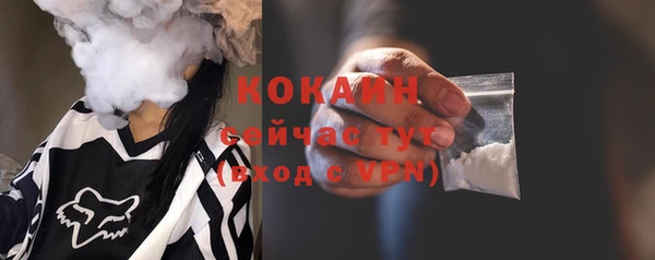 винт Гусев