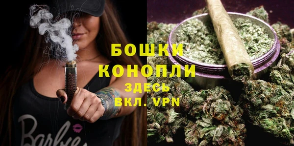 винт Гусев