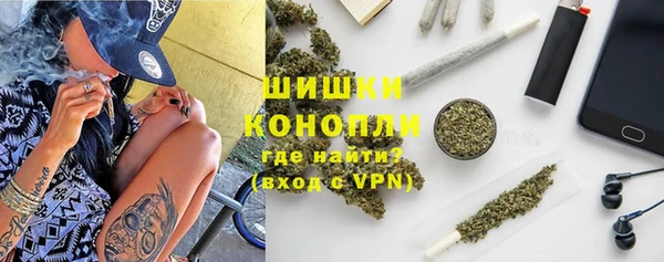 винт Гусев