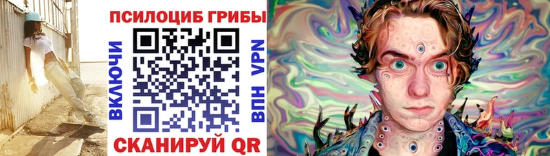 Купить где Любань Галлюциногенные грибы мицелий